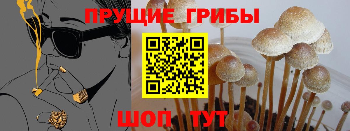 Моздок  Псилоцибиновые грибы Psilocybe  Галлюциногенные грибы GOLDEN TEACHER  Вход с VPN 